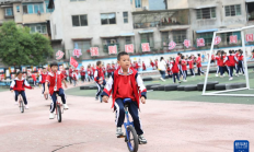 开云APP下载:这所城郊小学，遍地“长满”了体育器材——中小学“以体育人”成效观察之一